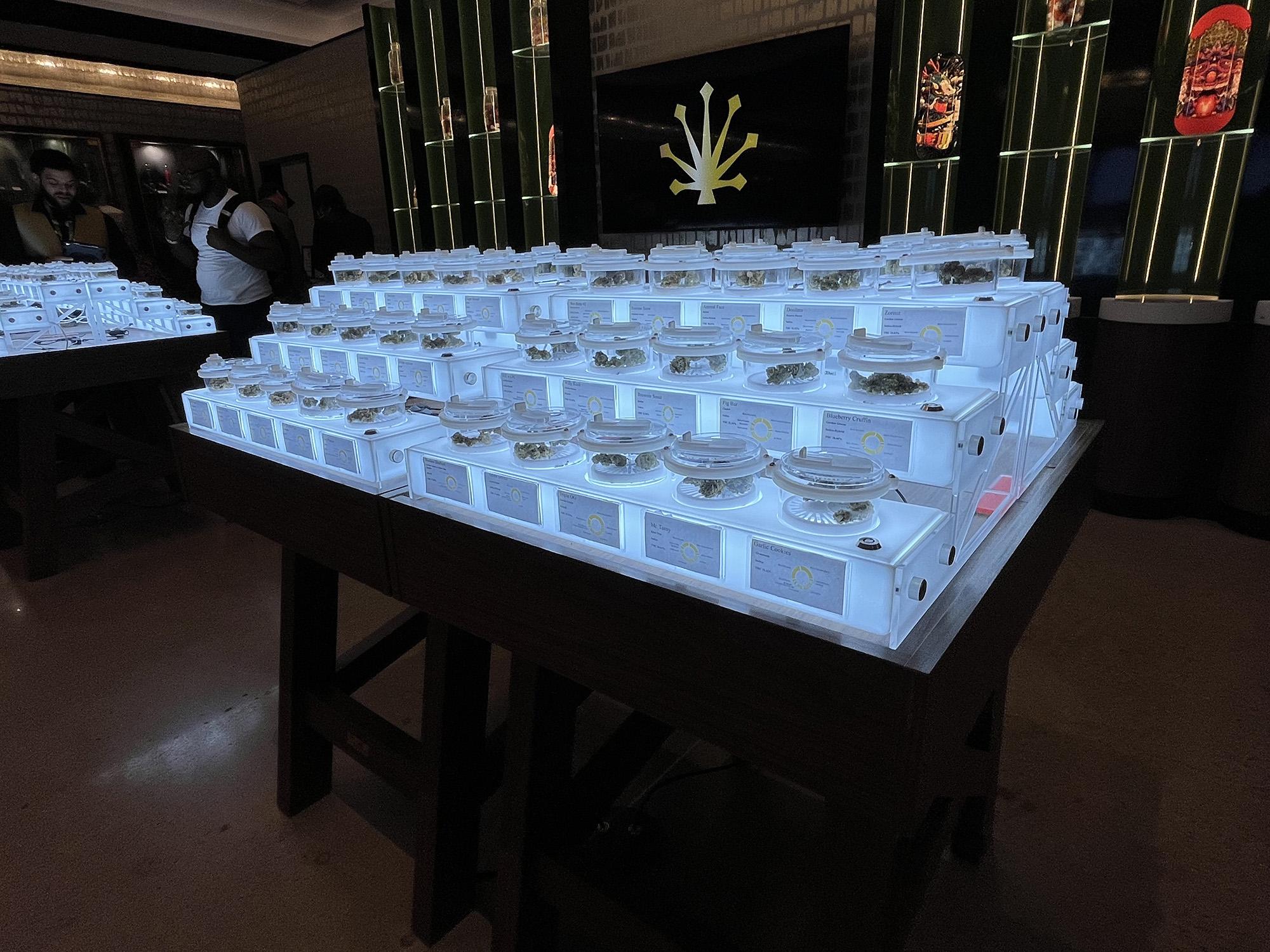 Training Budtenders: Maximizing POS Efficiency on the Sales Floor